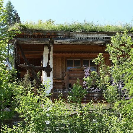 Chalet Alm Planai Schladming Exterior photo