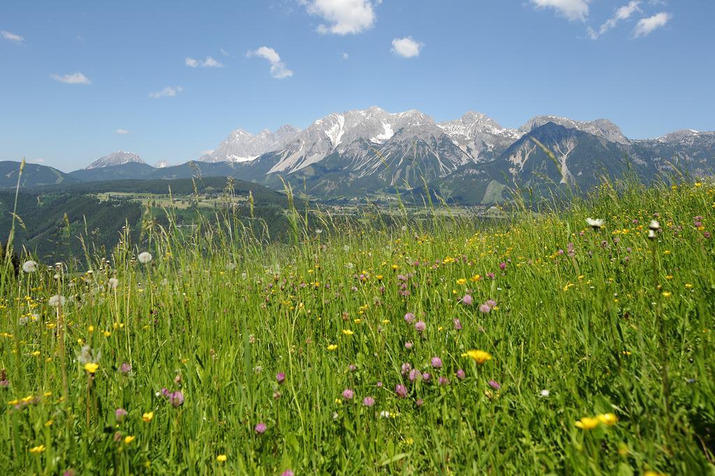 Chalet Alm Planai Schladming Exterior photo